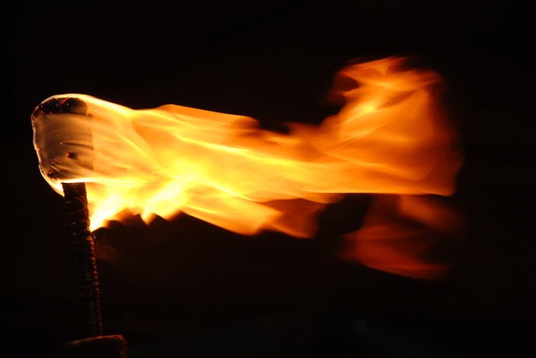 A burning torch — the IGNIS symbol.